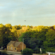 Views from the cottage window