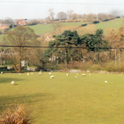 Views from the cottage window