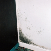 Dining room after demolition