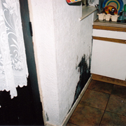 Mould damage to kitchen