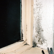 Mould damage to kichen windows