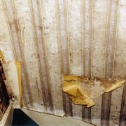 Mould damage to the stairs 1997