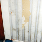 Mould damage in sons bedroom