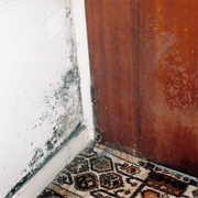 Mould damage due to water ingress from stack