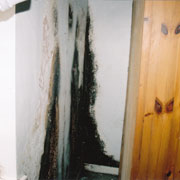 Mould damage behind wardrobe